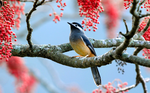 �1761218 �������(a): ����������:1920x1200